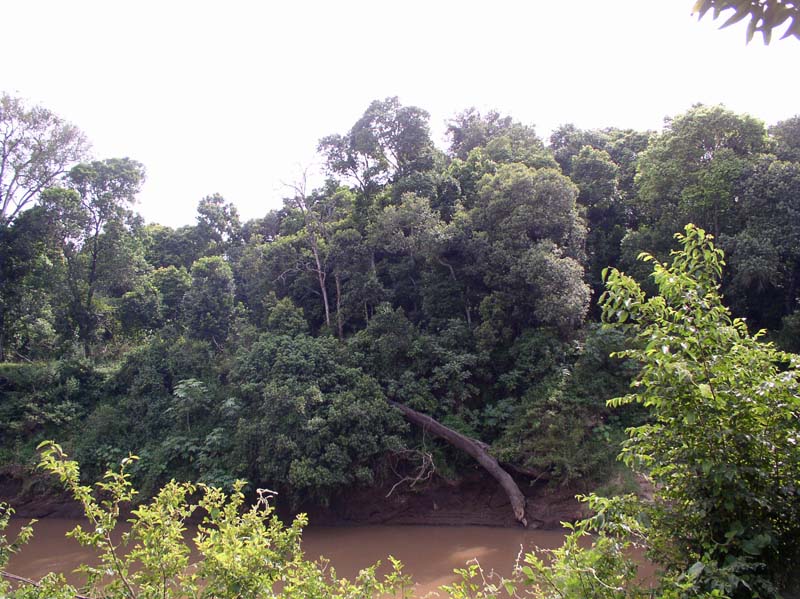 P1011062