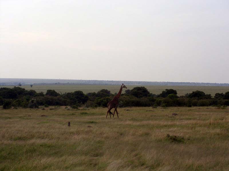 P1011139